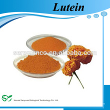 Luteína de alta pureza y polvo de zeaxantina UV / HPLC 5% -90%